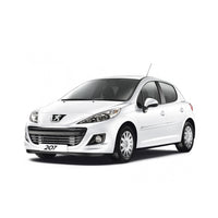 207 dal 06-2009 al 01-2012