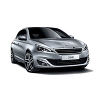 308 dal 10-2013 al 04-2017